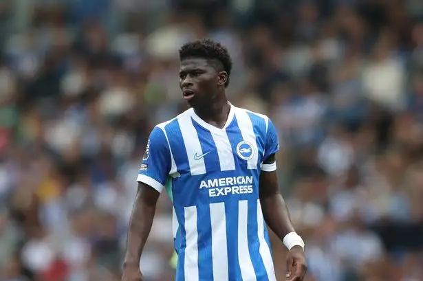 Carlos Baleba Transfer to Manchester United Edging Closer: Brighton Boss Hurzeler Responds