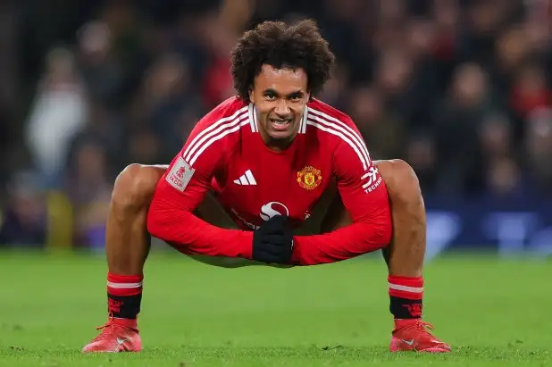 Sevilla set to bid for a January loan for Joshua Zirkzee - Almeyda’s priority No.9