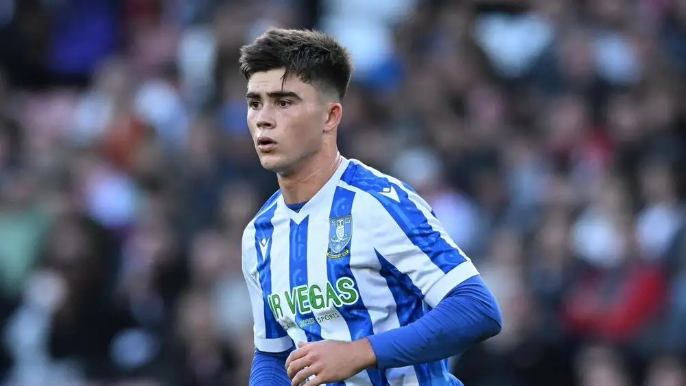 Manchester United weigh first-team promotion for Harry Amass and Radek Vitek next season