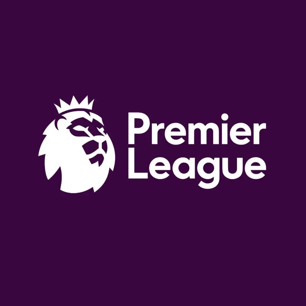 Former Premier League footballer arrested on suspicion of attempted rape