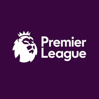 Former Premier League footballer arrested on suspicion of attempted rape