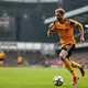 Wolves accelerate Rob Edwards move: compensation lined up, emotional Molineux return in sight as Boro factor emerges photo