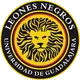Leones Negros