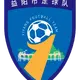 Yiyang FC