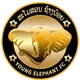 Young Elephants FC