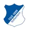 TSG Hoffenheim logo
