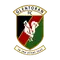 Glentoran FC