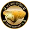 Young Elephants FC